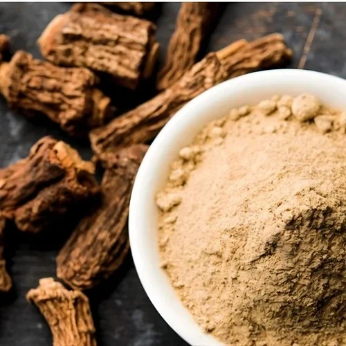 Catuaba bark extract powder, reddish brown, in a dish